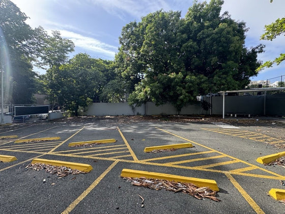 Oficina venta alquiler Gazcue, Santo Domingo