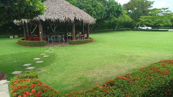 Terreno Casa Club venta La Cuaba Santo Domingo Oeste