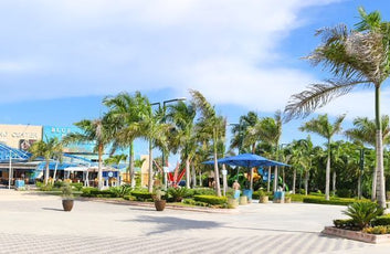 Locales comerciales alquiler Bavaro San Juan Shopping-1