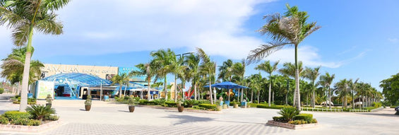 Locales comerciales alquiler Bavaro San Juan Shopping
