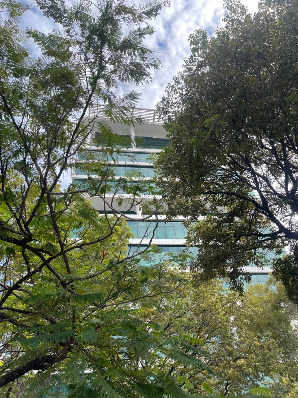 Oficina corporativa alquiler Piantini Habitat Center, Santo Domingo