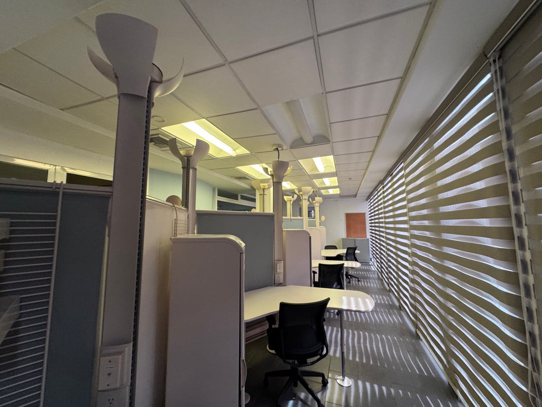 Oficina Edificio comercial alquiler Tiradentes Naco Santo Domingo